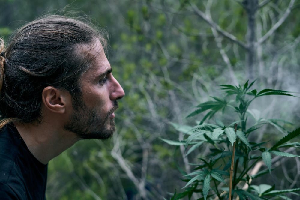 Efeitos Psicologicos da Maconha